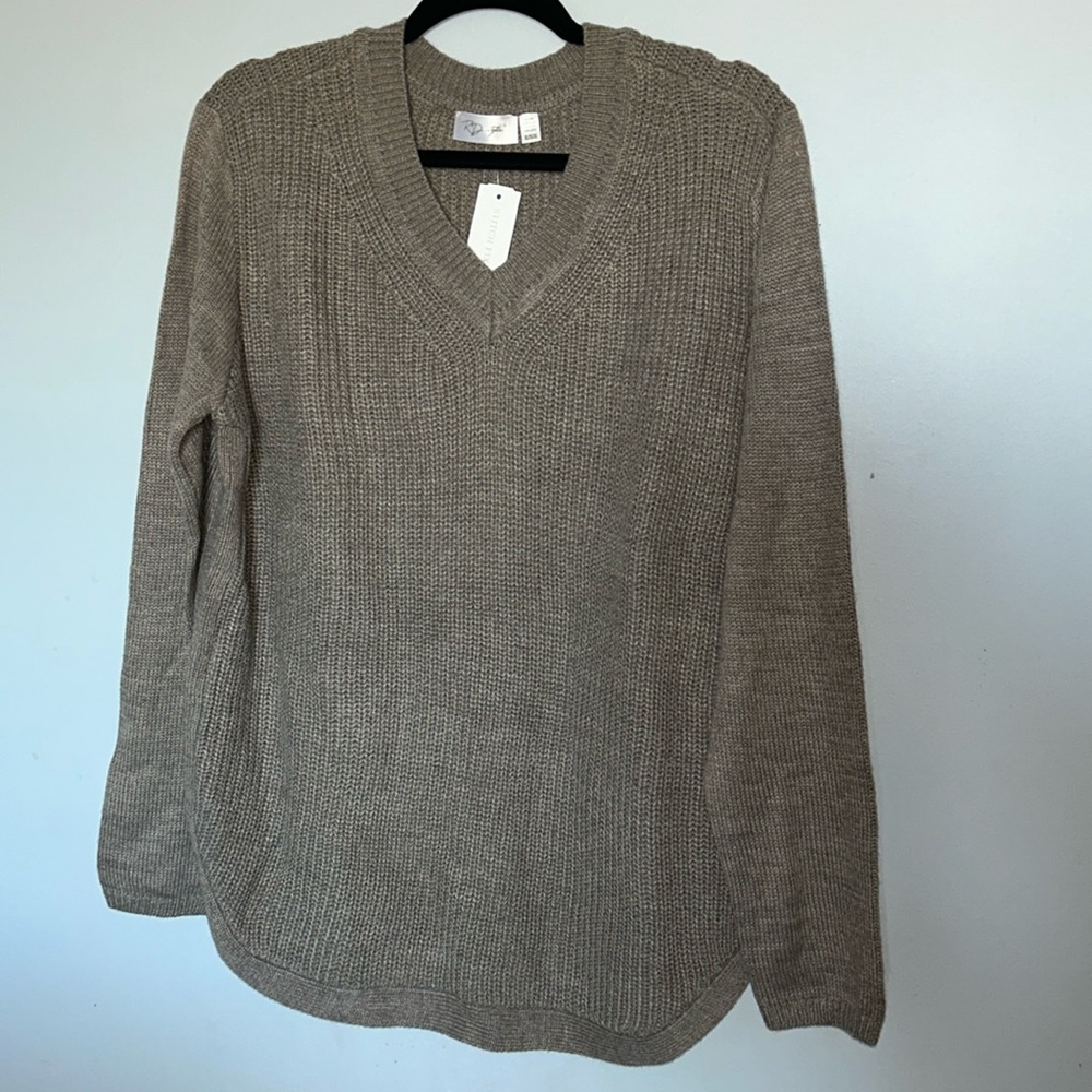 RD style josslyn Stitch Fix Sweater XLARGE Tan